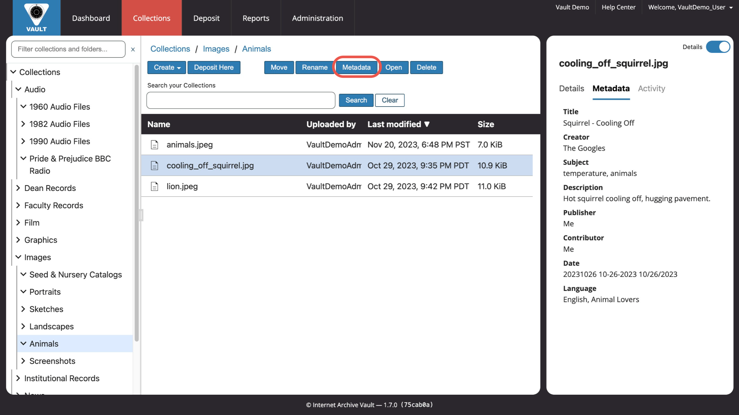 Vault_Collections_Single Item w Metadata_Metadata Button Outlined.png